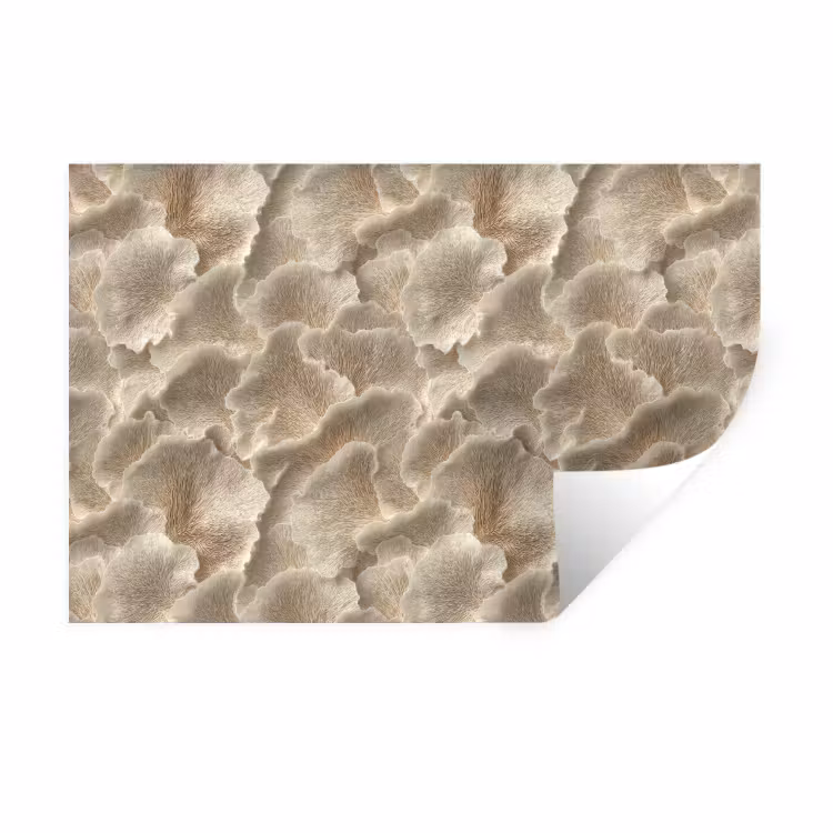 Muursticker - Waaierstructuren - Beige - Vezeltextuur — 1