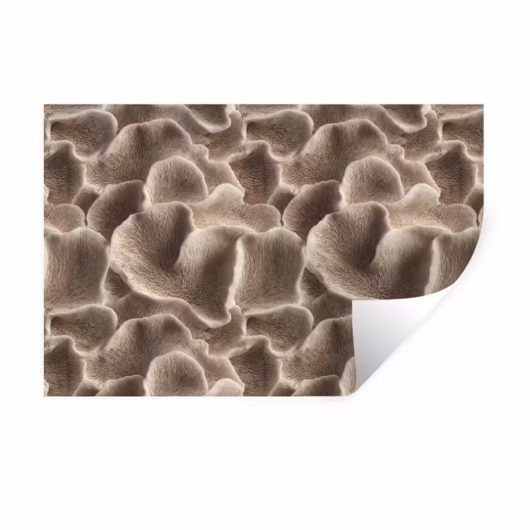 Muursticker - Waaiervorm - Beige - Vezel textuur — 1