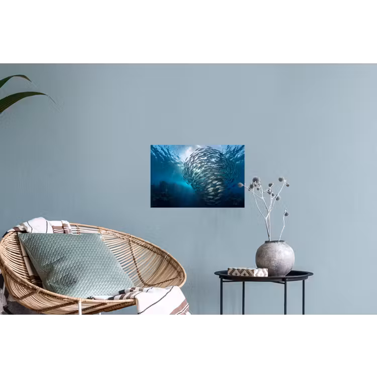Muursticker - Vis - School - Oceaan - Natuur - Blauw — 4