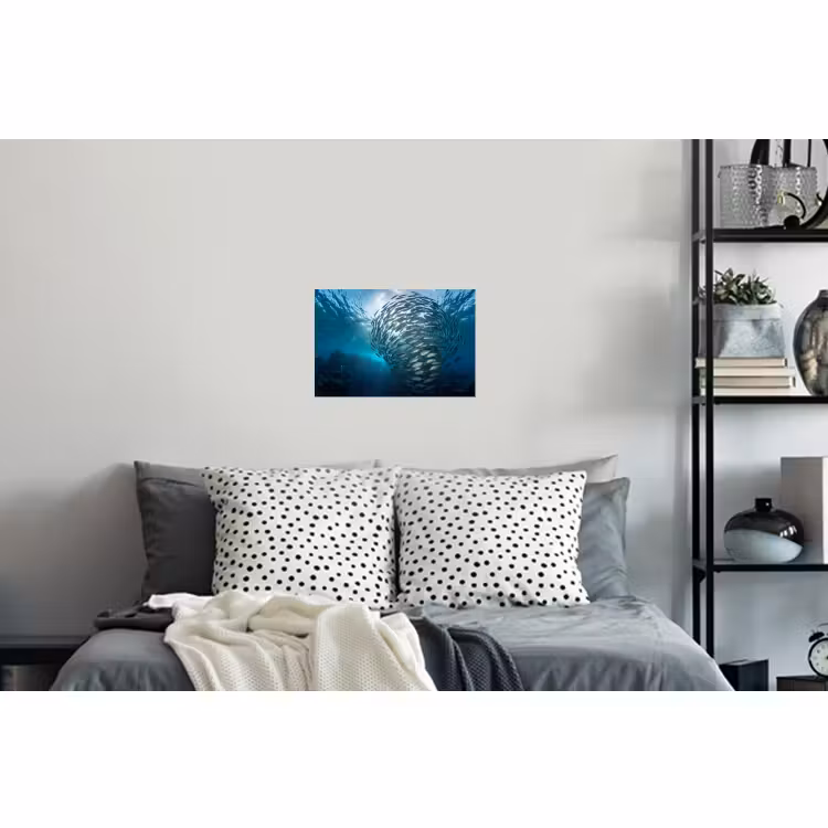 Muursticker - Vis - School - Oceaan - Natuur - Blauw — 5