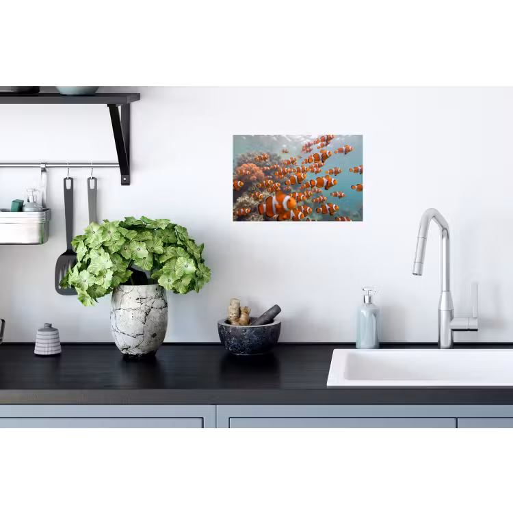 Muursticker - Vis - School - Onderwater - Dieren - Oranje — 2