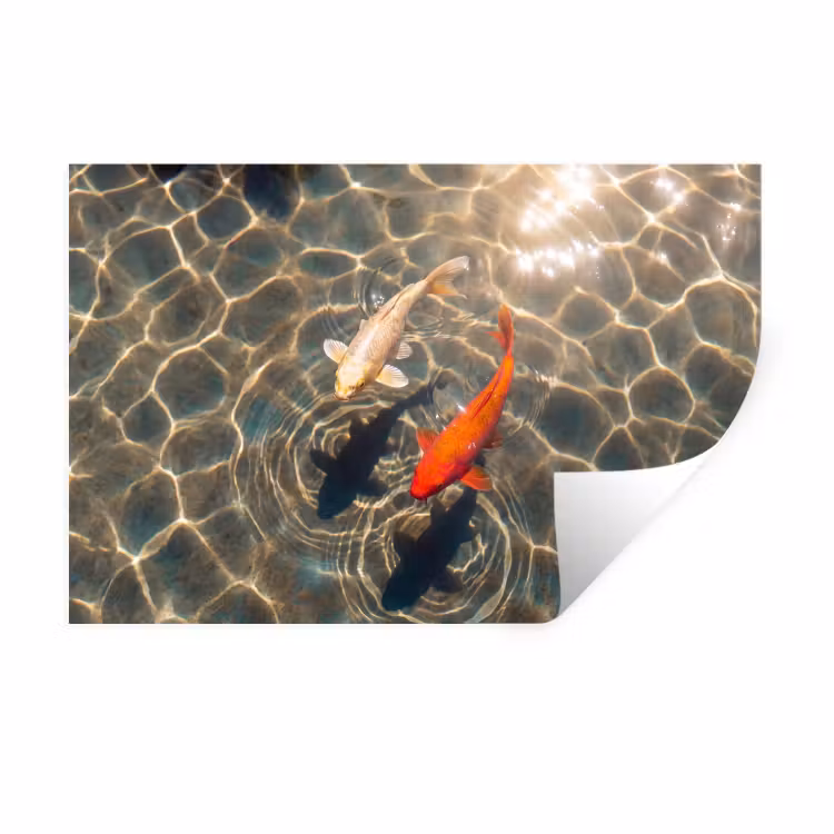 Muursticker - Vis - Water - Dieren - Oranje - Goud — 1