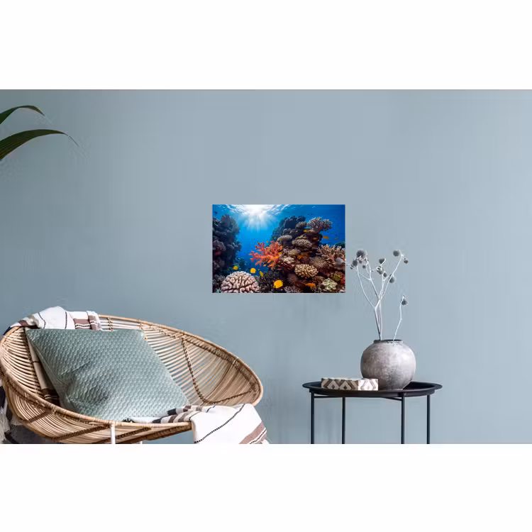 Muursticker - Zee - Koraalrif - Natuur - Levendig - Blauw — 4