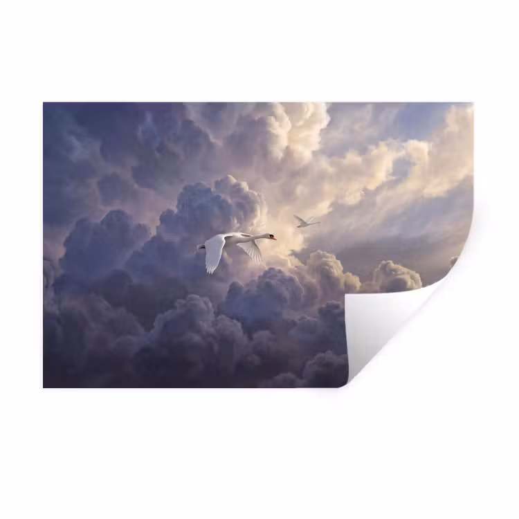 Muursticker - Vogel - Vliegend - Natuur - Wit - Wolken — 1