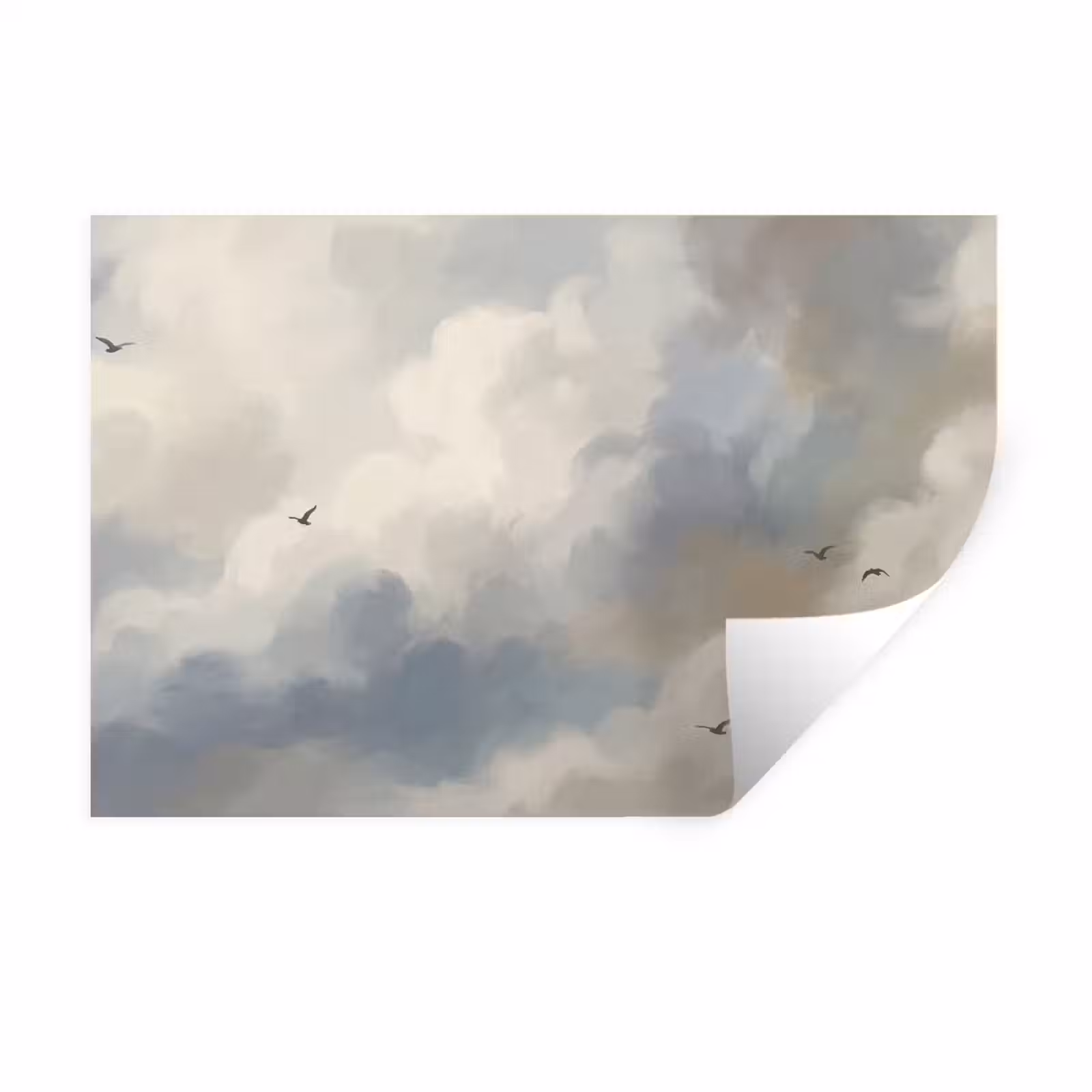 Muursticker - Vogel - Wolken - Natuur - Modern - Grijs — 1