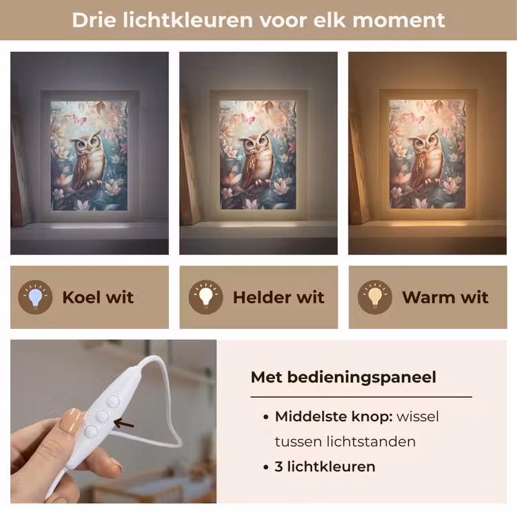 Nachtlampje - Uil - Bos - Bloemen - Vlinders — 5