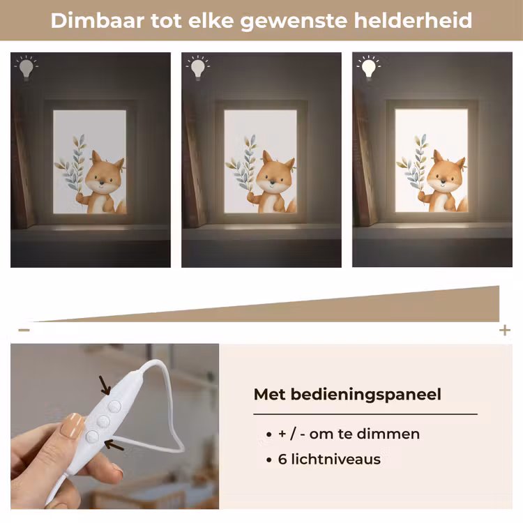 Nachtlampje - Vos - Dier - Bosdieren — 6