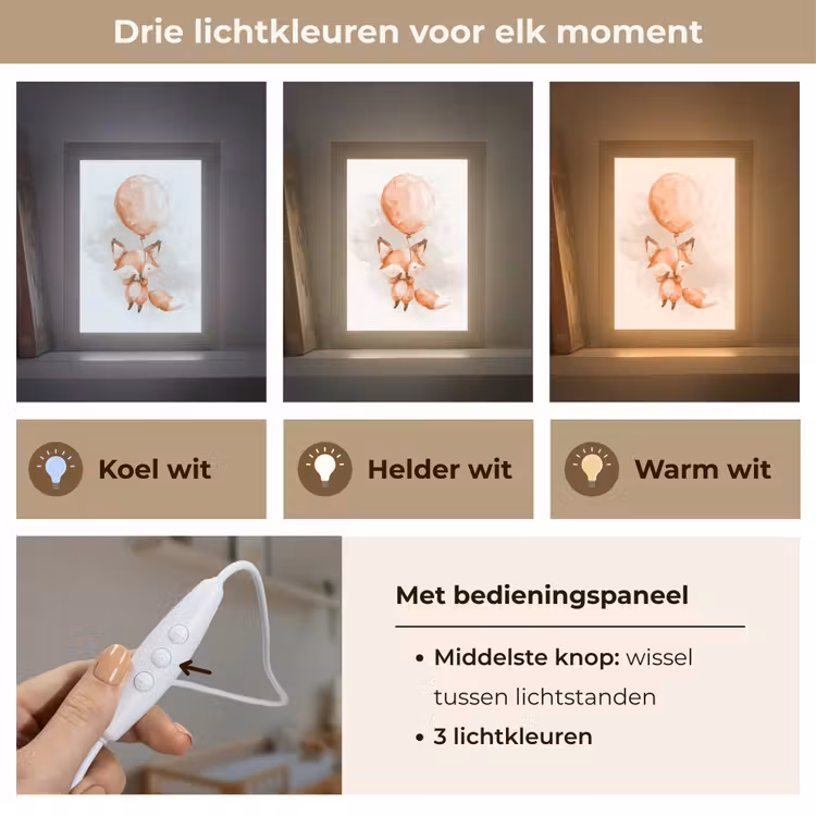 Nachtlampje - Vos - Pastel kleuren - Dier — 5
