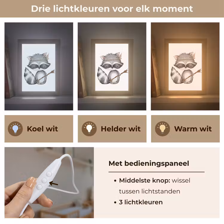 Nachtlampje - Wasbeer - Dier - Bosdieren — 5
