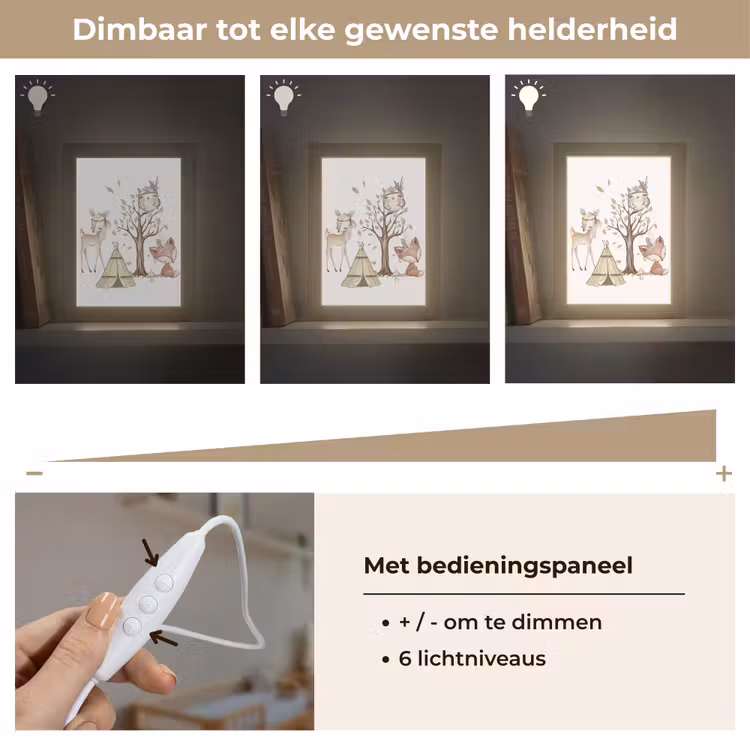Nachtlampje - Wilde dieren - Bos - Illustratie — 6