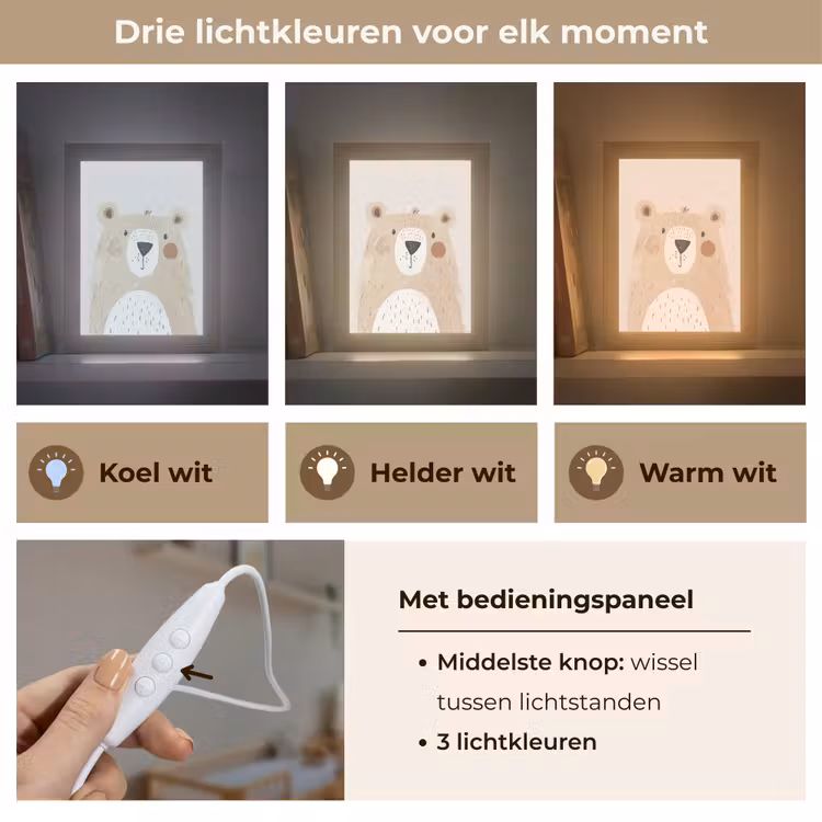Nachtlampje - Beer - Dier - Wilde dieren — 5