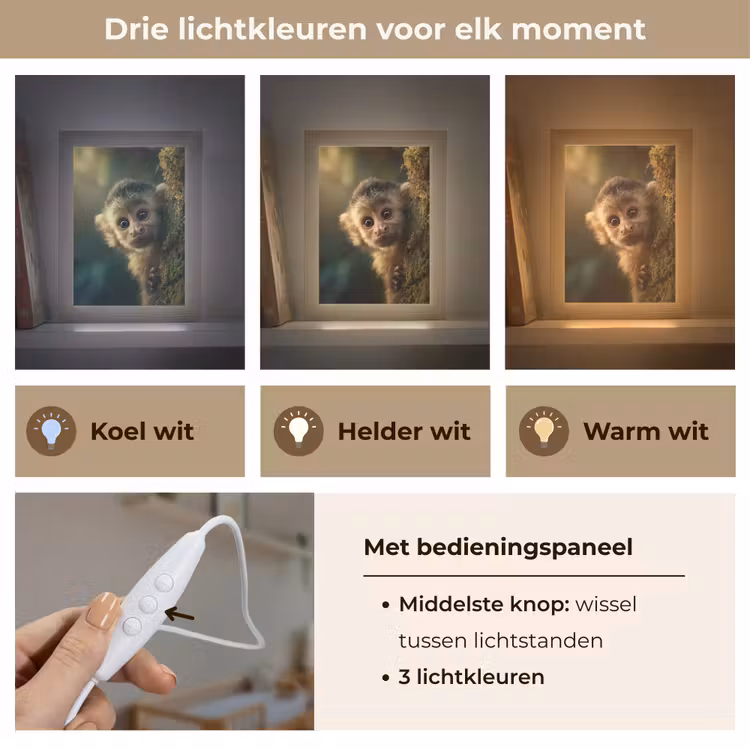 Nachtlampje - Aap - Boomstronk - Bruin — 5