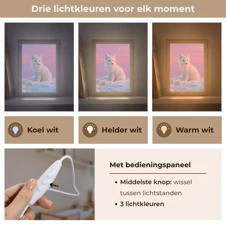 Nachtlampje - Poolvos - Sneeuw - Roze — 5