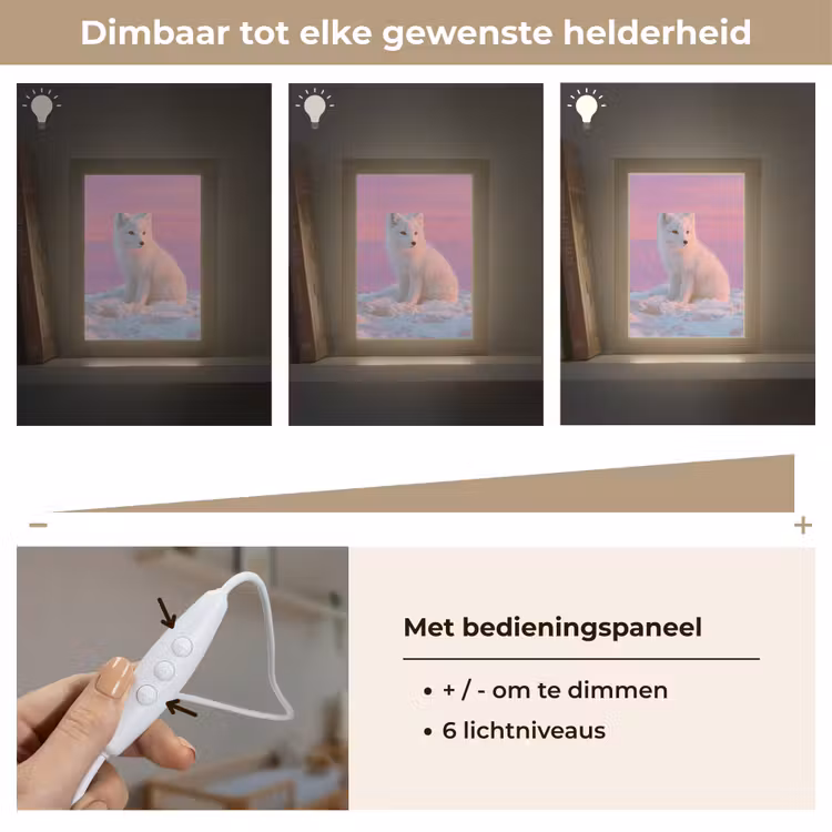 Nachtlampje - Poolvos - Sneeuw - Roze — 6