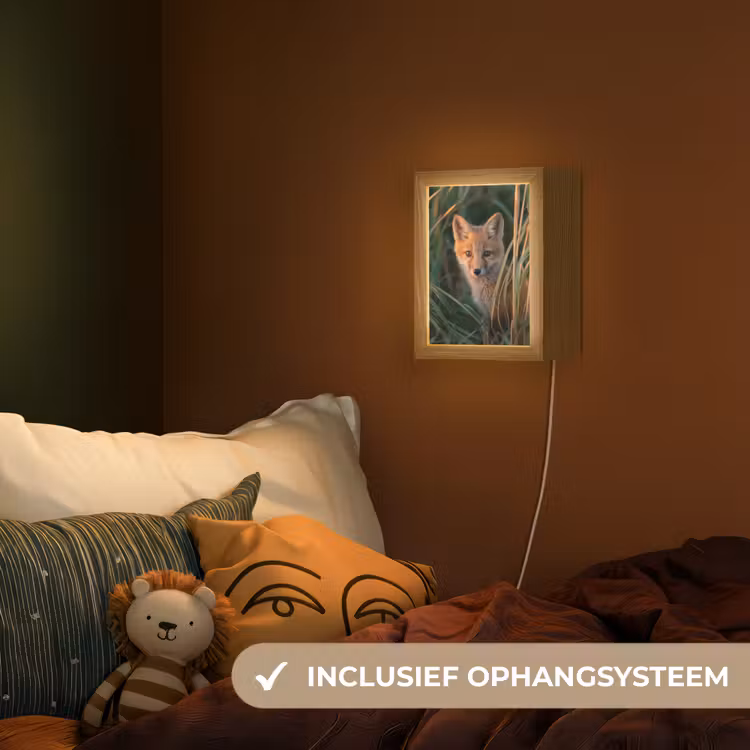 Nachtlampje - Vos - Oranje - Gras — 3