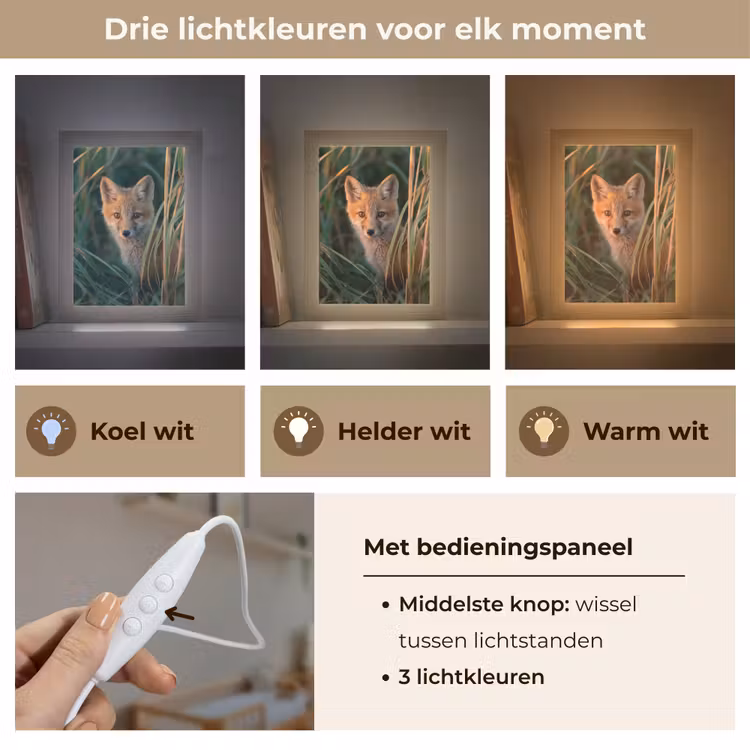 Nachtlampje - Vos - Oranje - Gras — 5
