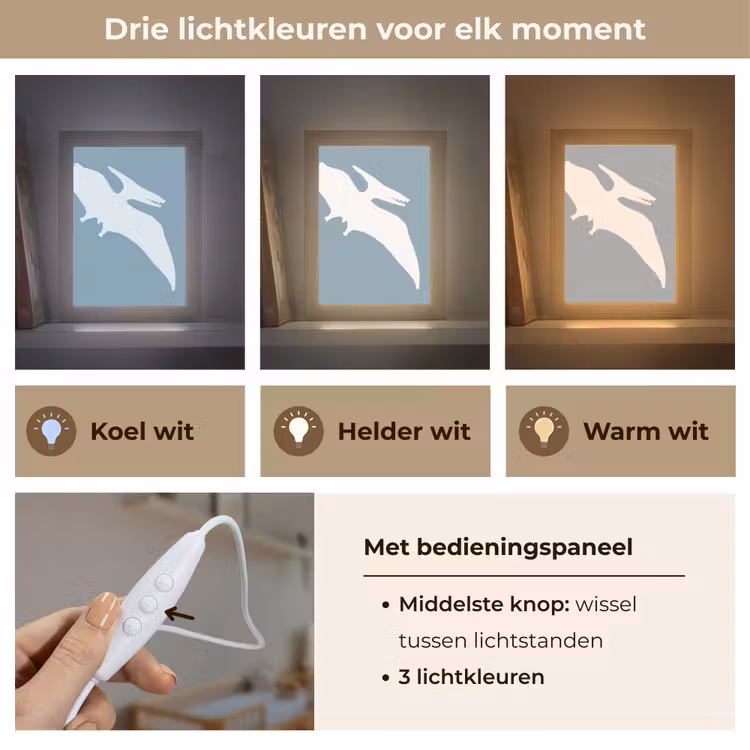 Nachtlampje - Dino - Pteranodon - Dinosaurus - Blauw — 5