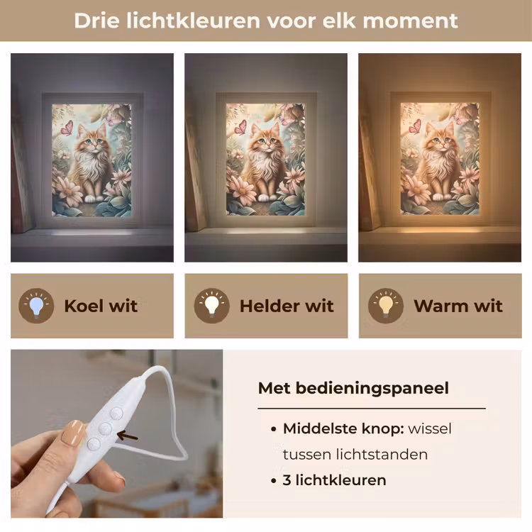 Nachtlampje - Kat - Bloemen - Vlinders - Roze — 5