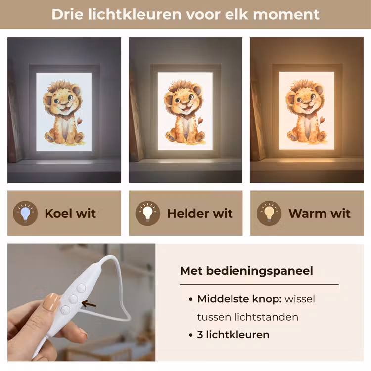 Nachtlampje - Leeuw - Baby dier — 5