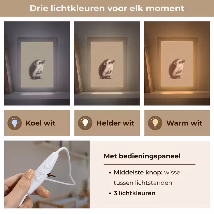 Nachtlampje - Egel - Snuitje - Bruin - Stekels — 5