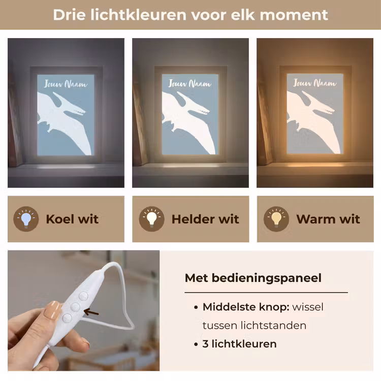 Nachtlampje met naam - Dino - Pteranodon - Dinosaurus - Blauw — 5