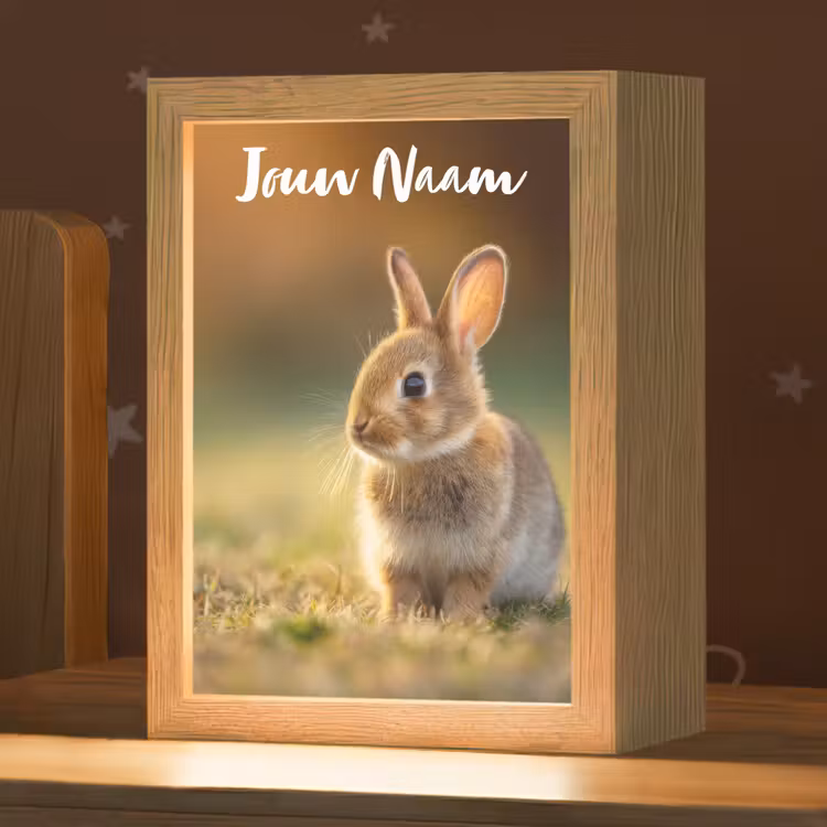 Nachtlampje met naam - Konijntje - Bruin - Gras — 1