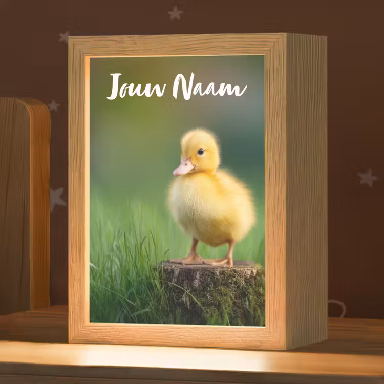 Nachtlampje met naam - Kuiken - Eend - Geel - Gras — 1