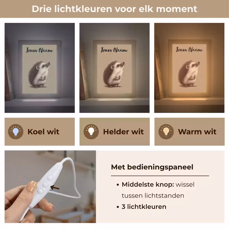 Nachtlampje met naam - Egel - Snuitje - Bruin - Stekels — 5