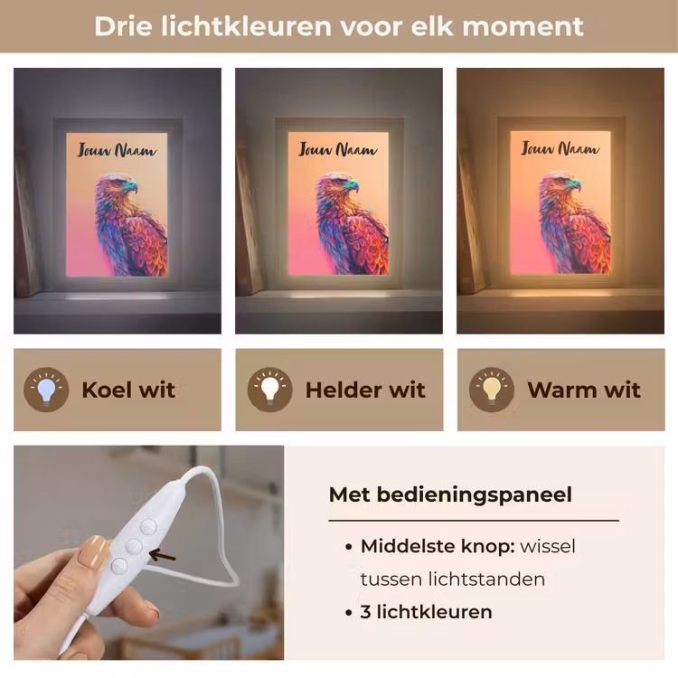 Nachtlampje met naam - Arend - Vogel - Kleurrijk - Dier — 5
