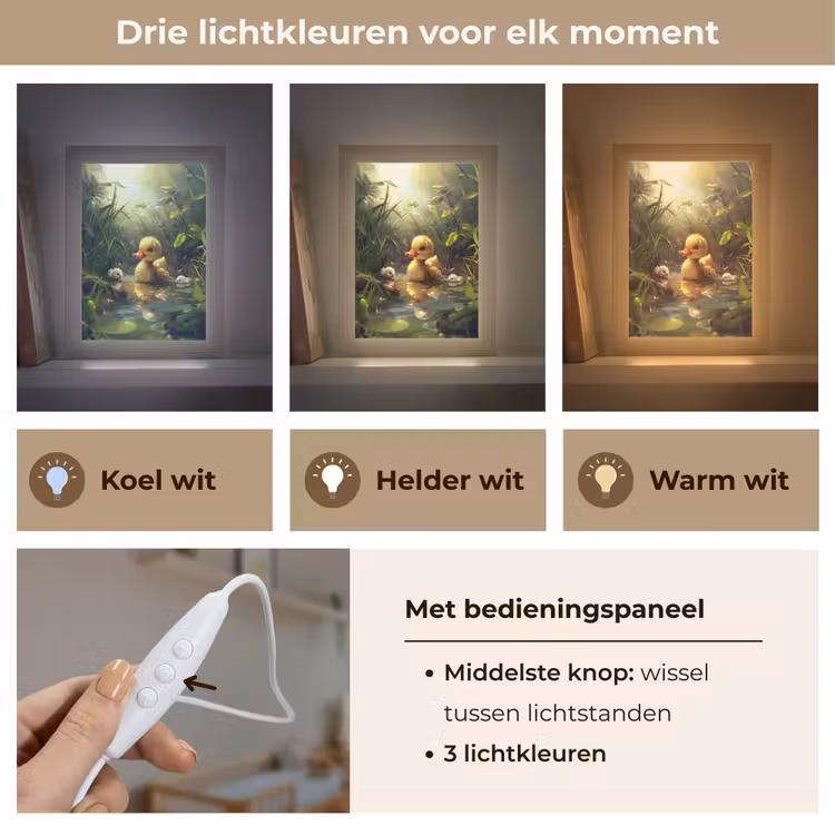 Nachtlampje - Eendjes - Dieren - Natuur — 5