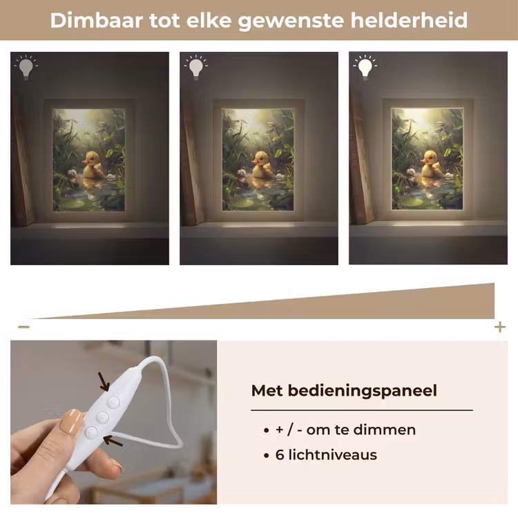 Nachtlampje - Eendjes - Dieren - Natuur — 6