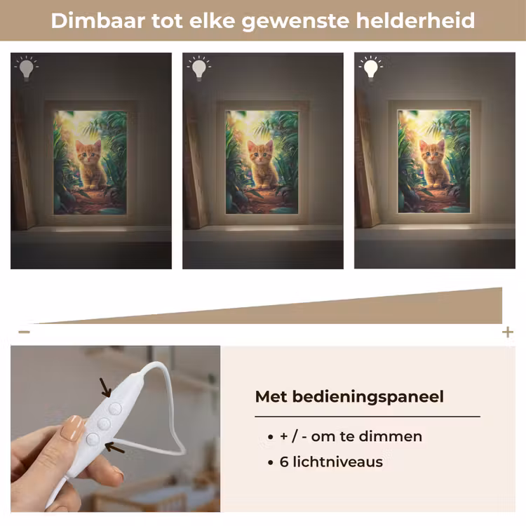 Nachtlampje - Kat - Huisdier - Natuur — 6