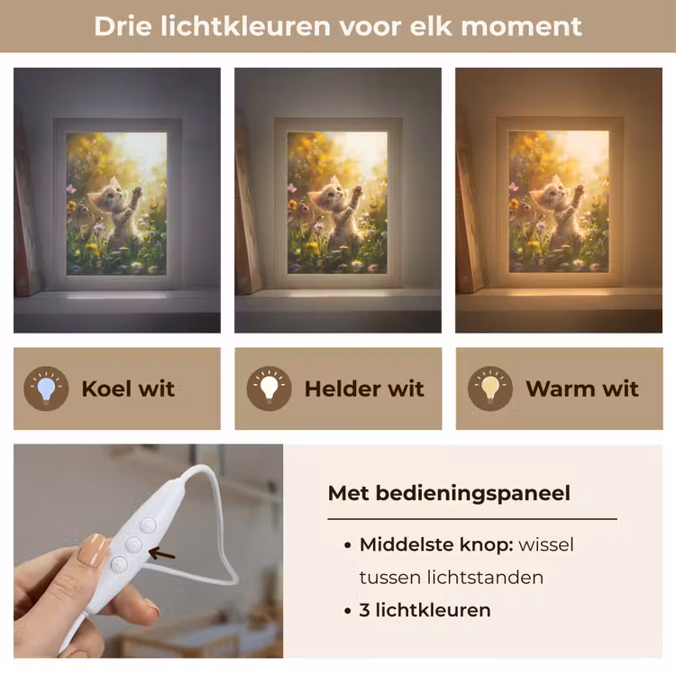 Nachtlampje - Kitten - Dier - Natuur - Bloemen — 5