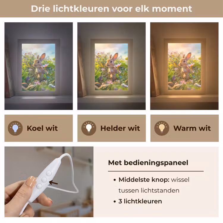 Nachtlampje - Konijn - Dieren - Natuur — 5