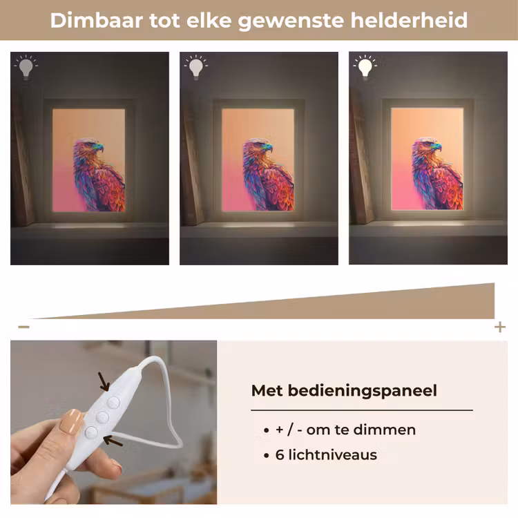 Nachtlampje - Arend - Vogel - Kleurrijk - Dier — 6