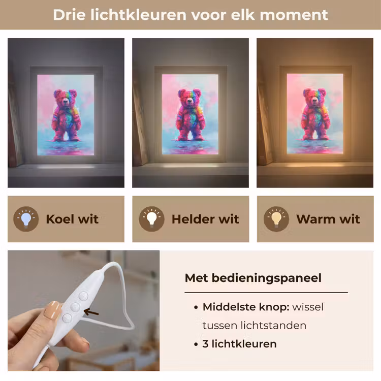 Nachtlampje - Beer - Kleurrijk - Dier — 5