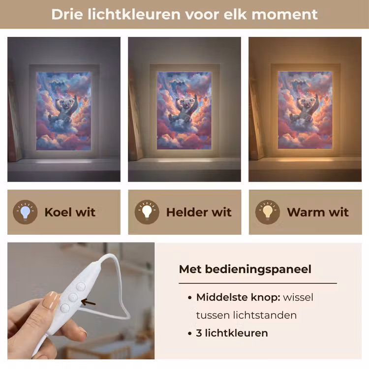 Nachtlampje - Koala - Dier - Zonnebril - Wolken — 5