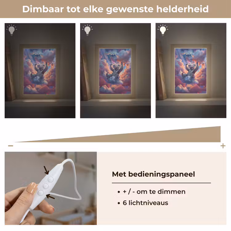 Nachtlampje - Koala - Dier - Zonnebril - Wolken — 6