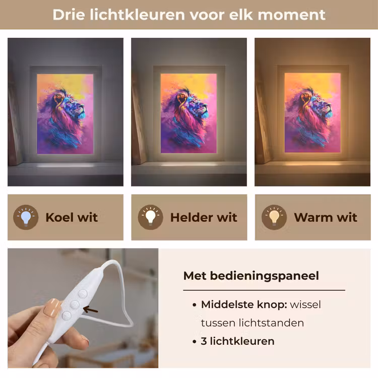 Nachtlampje - Leeuw - Verf- Kleuren - Dier — 5