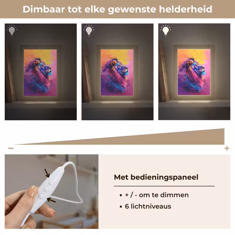 Nachtlampje - Leeuw - Verf- Kleuren - Dier — 6