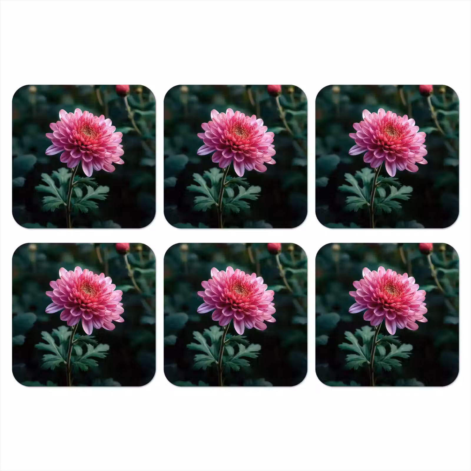 Onderzetter - Blad - Chrysant - Roze - Schaduw — 1