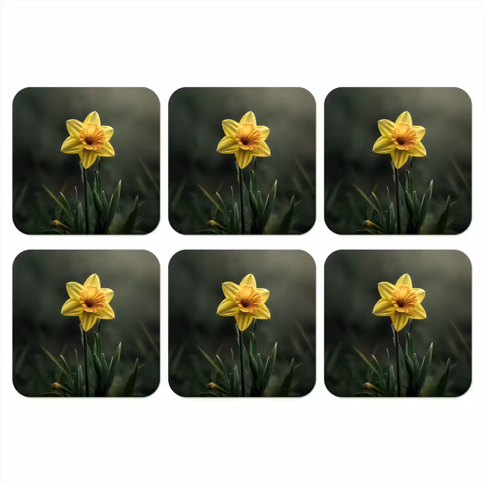 Onderzetter - Bloem - Narcis - Gras - Geel — 1