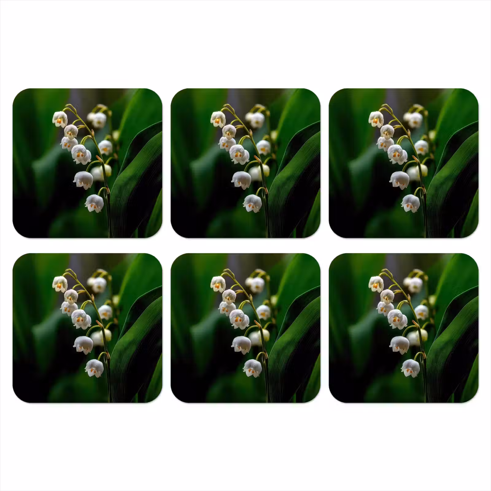 Onderzetter - Bloemen - Wit - Bladeren - Lelietjes — 1