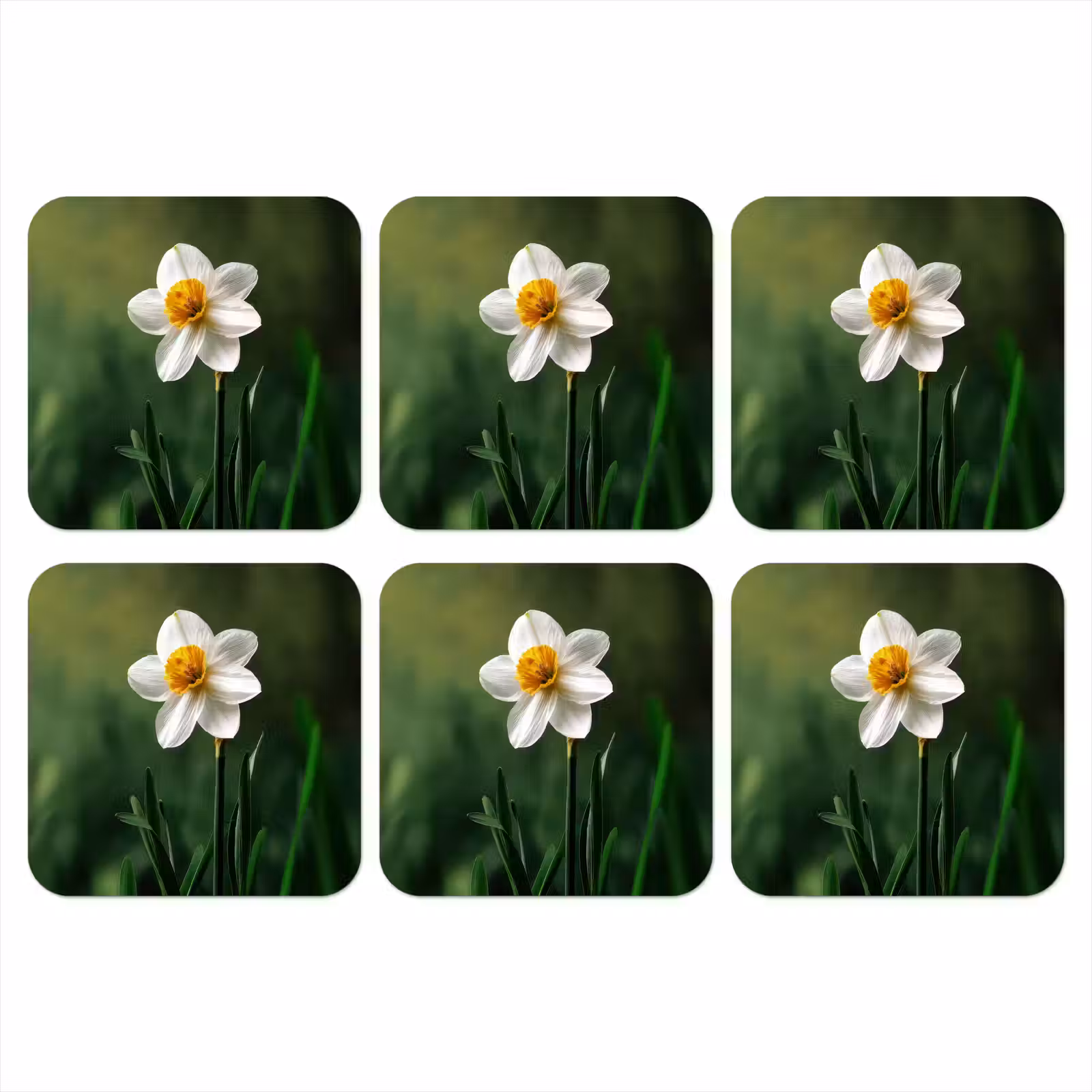 Onderzetter - Narcis - Bloem - Wit - Grassprieten — 1