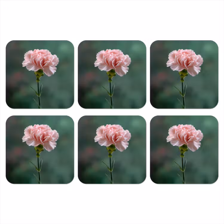 Onderzetter - Anjer - Roze - Bloemblaadjes — 1