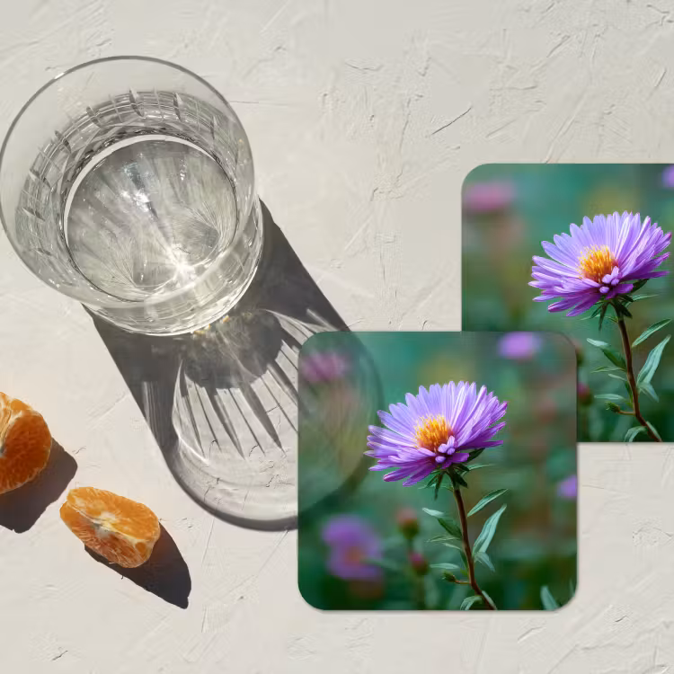Onderzetter - Aster - Paars - Bloem - Blaadjes — 3