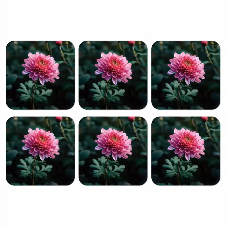 Onderzetter - Blad - Chrysant - Roze - Schaduw — 1