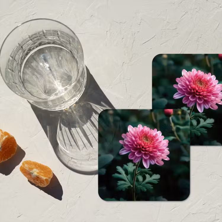 Onderzetter - Blad - Chrysant - Roze - Schaduw — 3