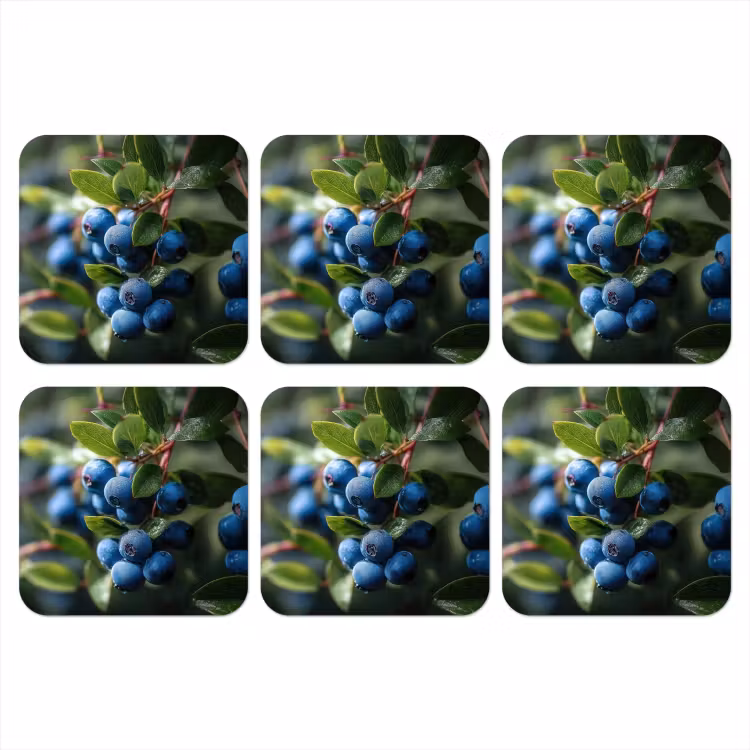 Onderzetter - Blauwe bessen - Dauwdruppels - Natuurlijk licht — 1