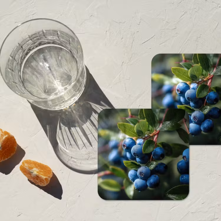 Onderzetter - Blauwe bessen - Dauwdruppels - Natuurlijk licht — 3